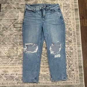 AE Strigid Ripped Mom Jean
